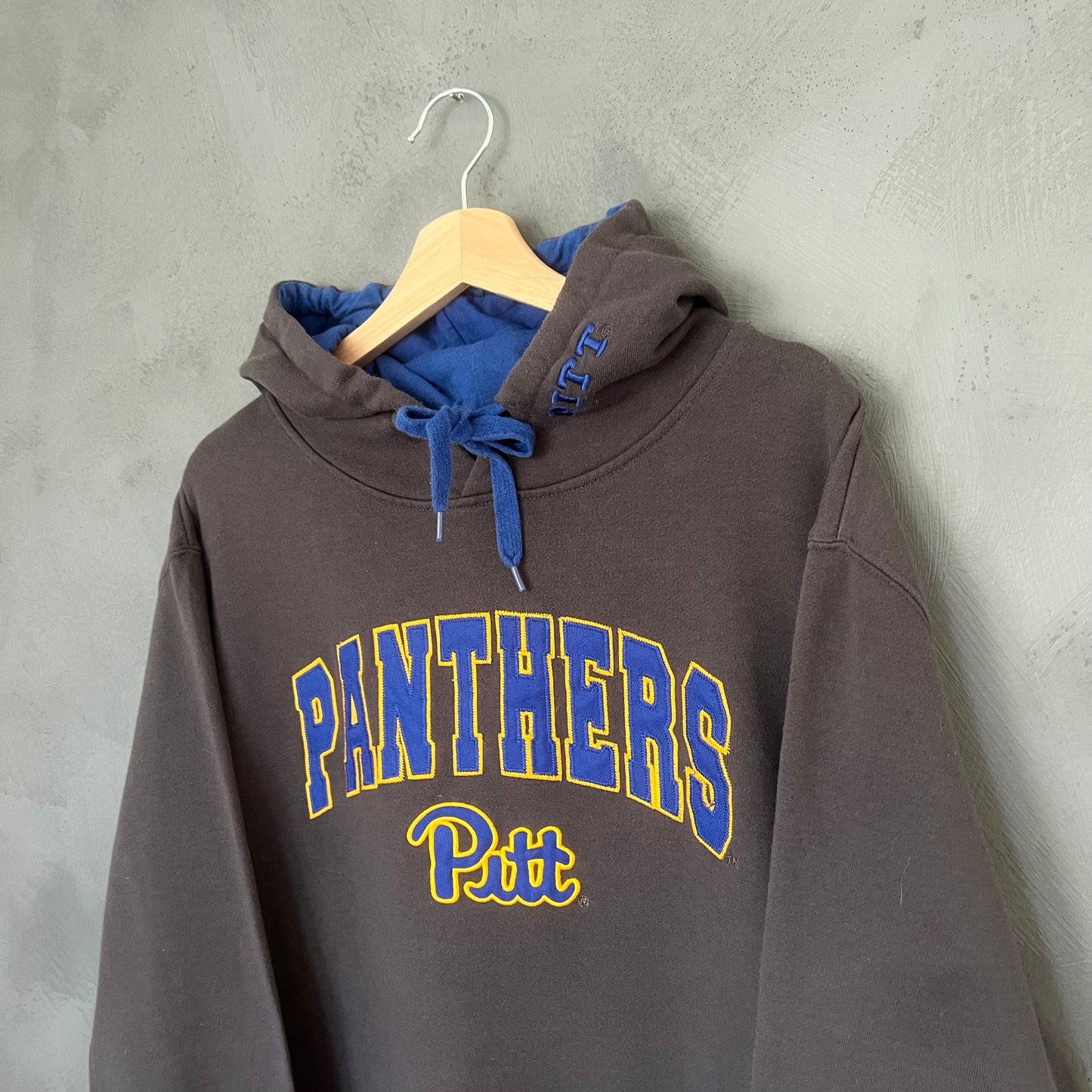 Panthers Pitt Hoodie (S)