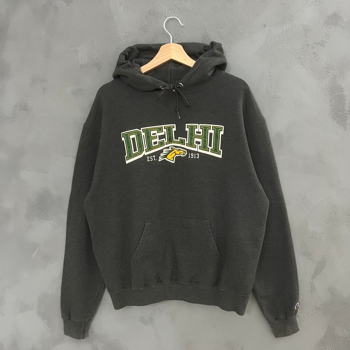 Champion Delhi Hoodie (M)