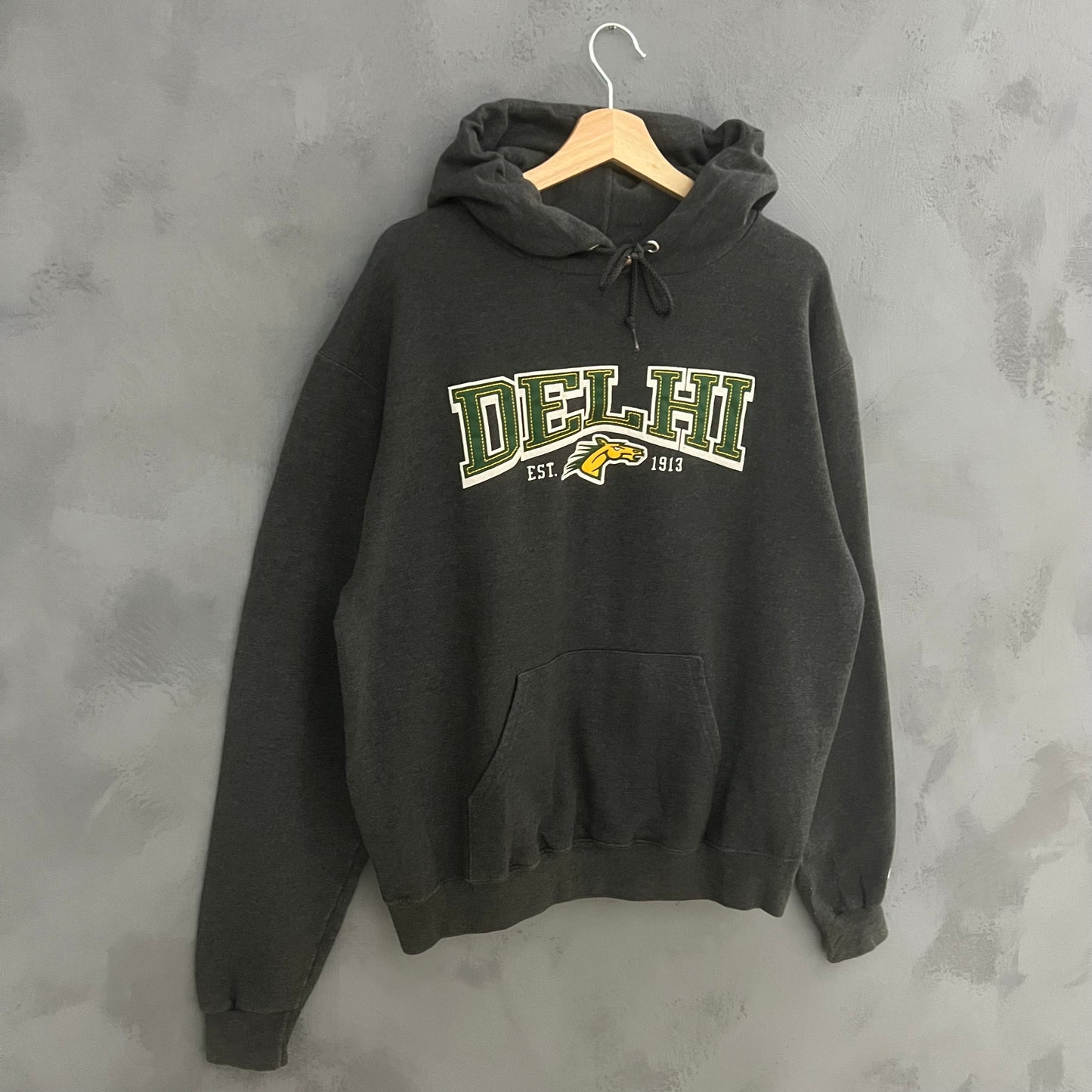 Champion Delhi Hoodie (M)