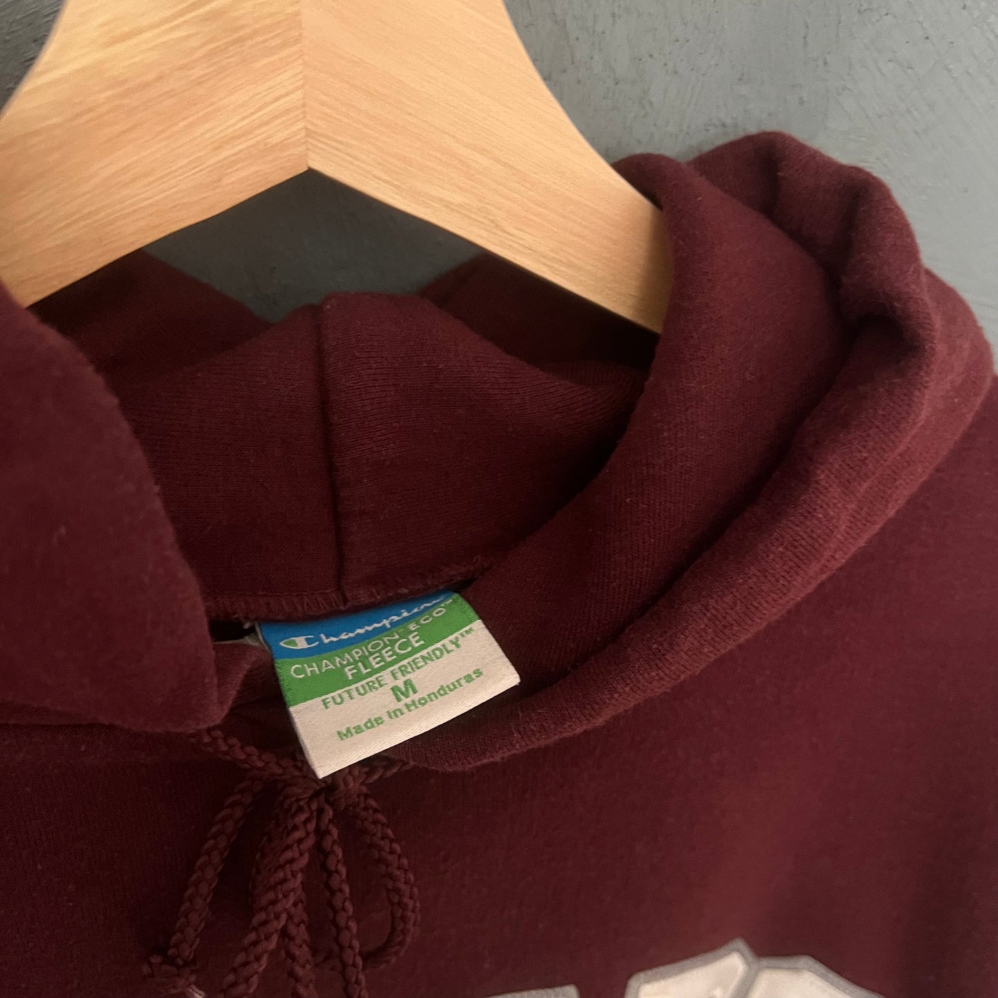 Champion Ramapo College Hoodie (M)