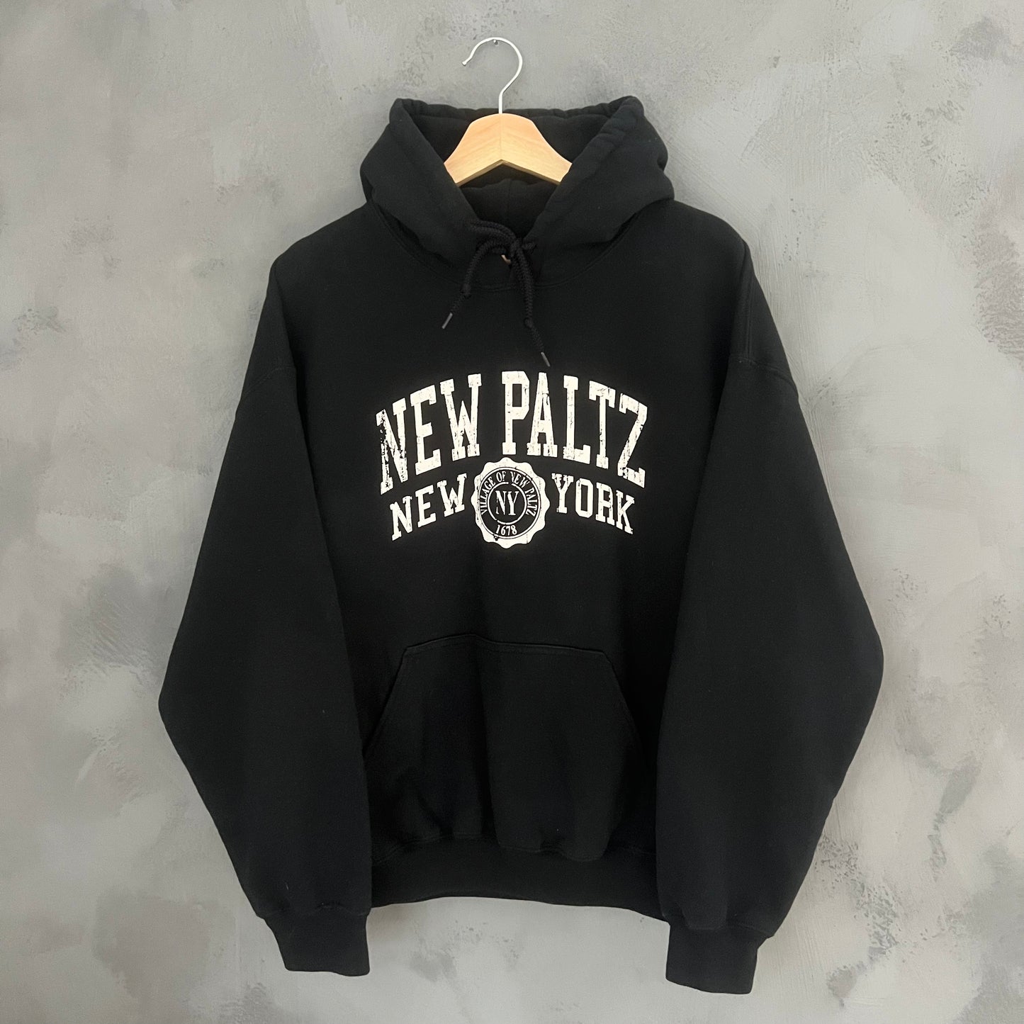 Gildan New Paltz New York Hoodie (M)