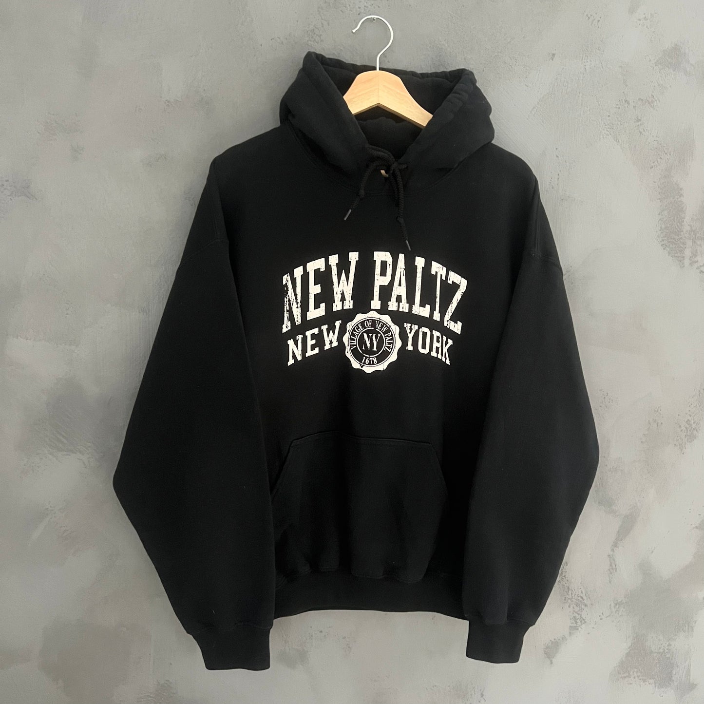 Gildan New Paltz New York Hoodie (M)