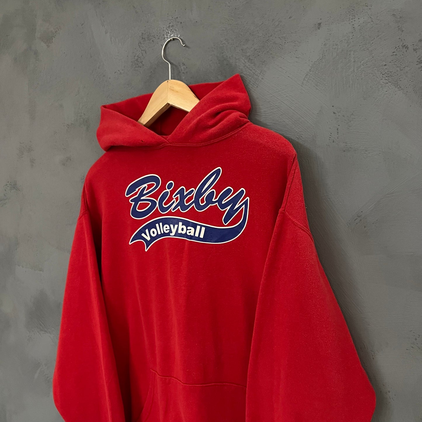 Vintage Bixly Hoodie (L)